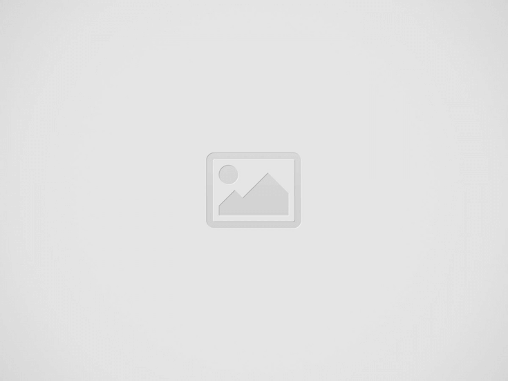 Logo sans fond